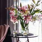 Apartamenty We Wroclawiu - Jaworska